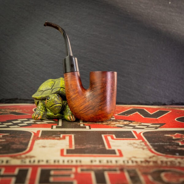 GRADE B1 HSB Starline Ambassador - Image 2